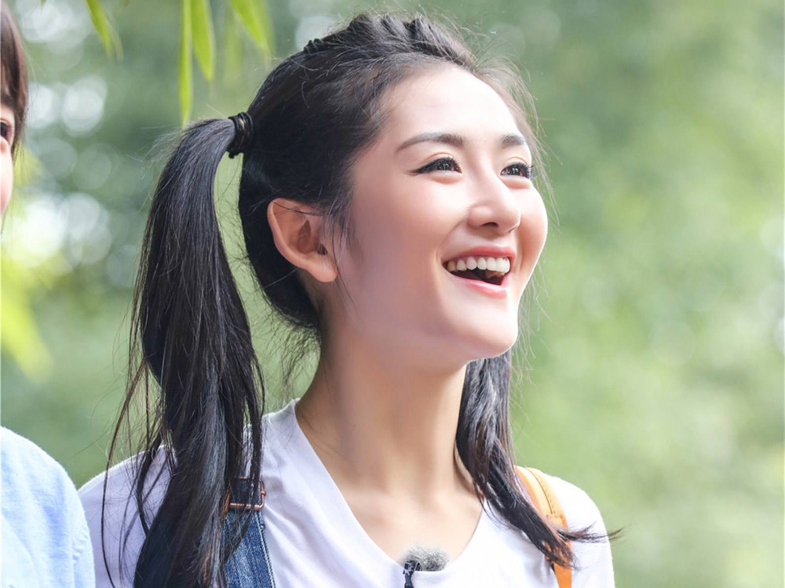 谢娜简历(谢娜简介个人简历)