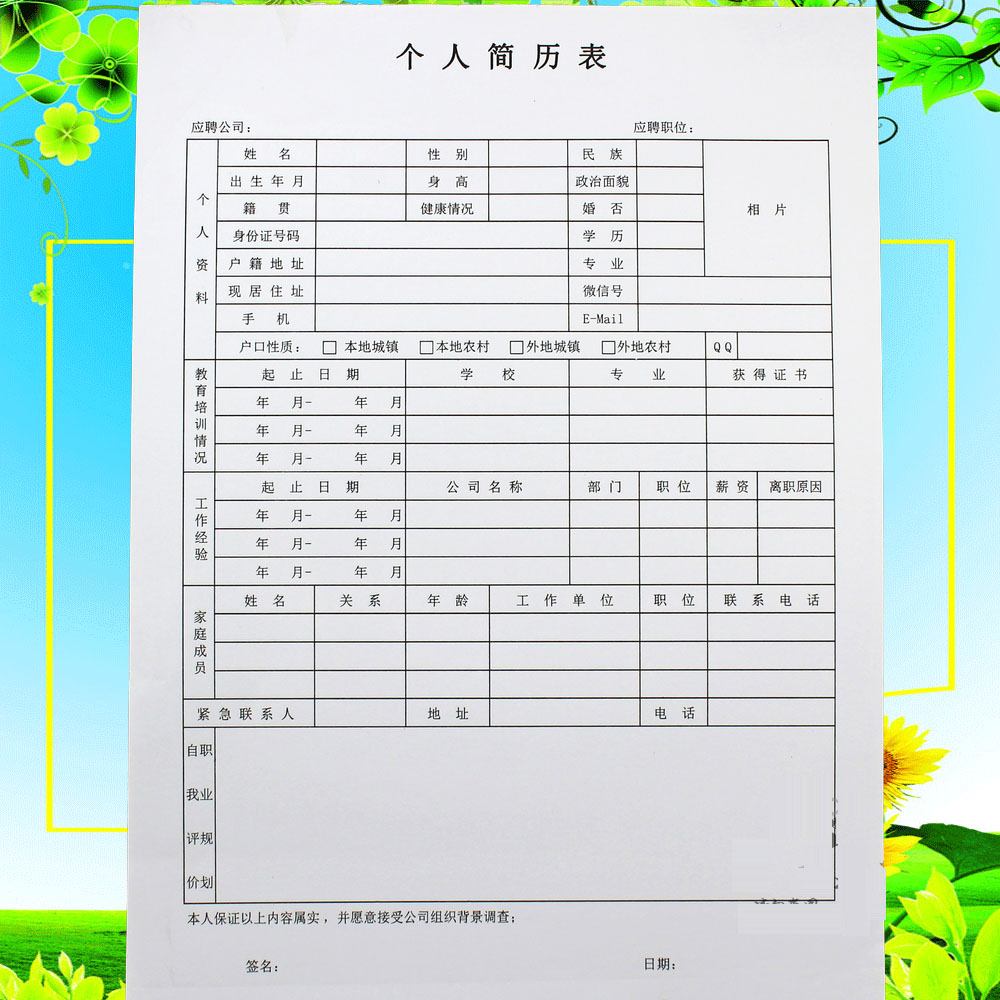 个人简历表格式(财务会计个人简历表格式)