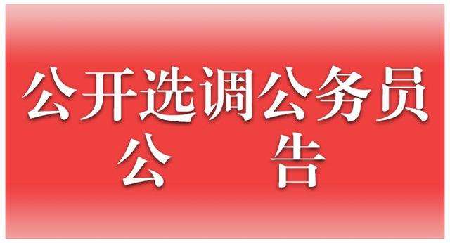 中央遴选公务员(公务员遴选我后悔了)