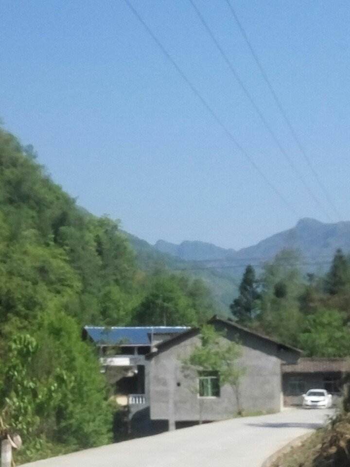 包含绵阳市平武县事业单位的词条