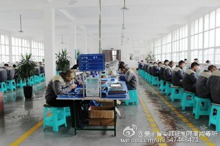 2017安顺镇宁事业单位的简单介绍