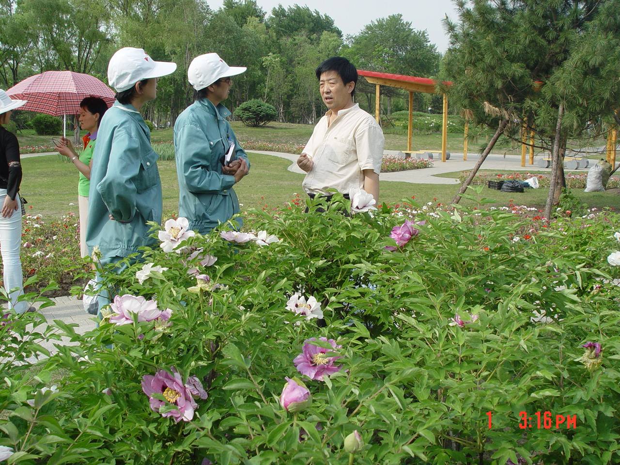 哈尔滨植物园是事业单位(一个植物园占地20什么单位)