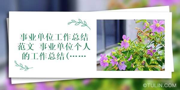 事业单位个人身份其他(事业单位聘用人员是什么身份)