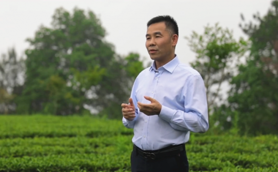 事业单位茶叶(八项规定单位茶叶标准)